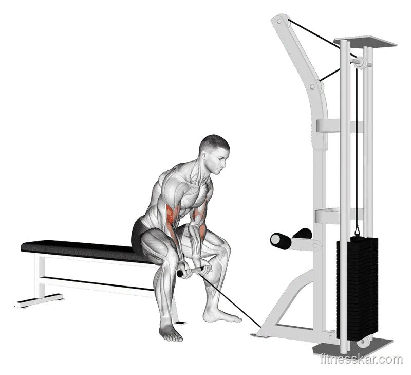 Cable Concentration Curl, Male demonstration, Start