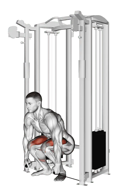 Cable Deadlift, Male demonstration, Start