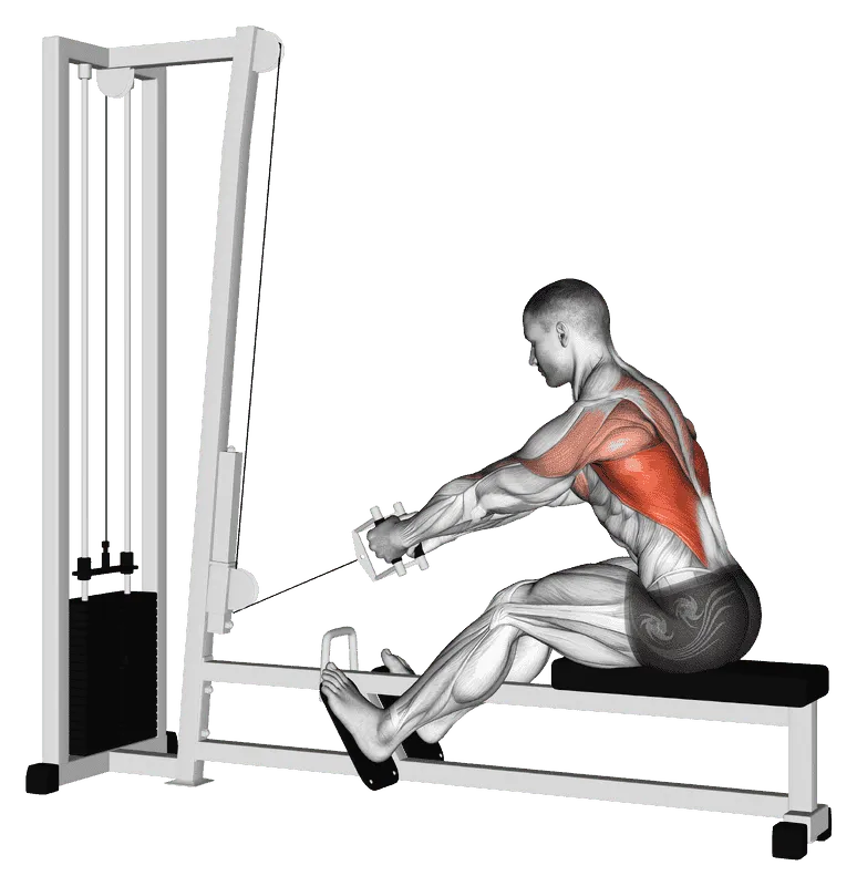 Cable Elevated Row, Male demonstration, Start