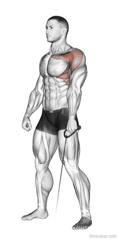Cable Forward Raise, Male demonstration, Start