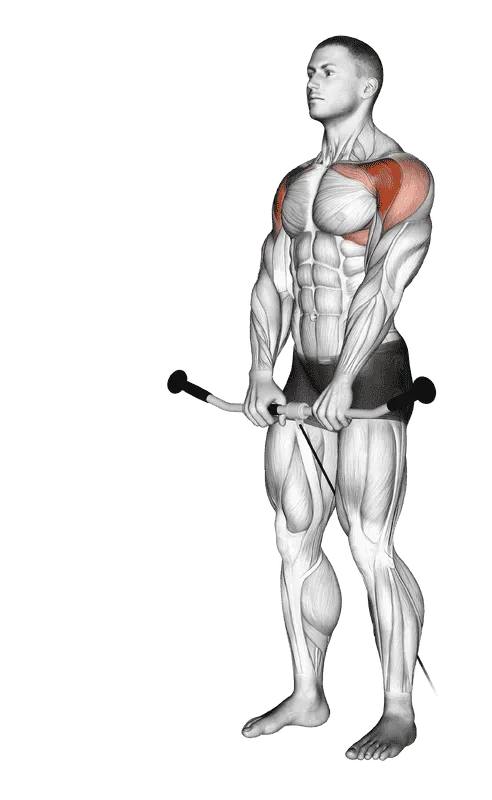 Cable Front Raise, Male demonstration, Start