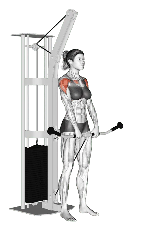 Cable Front Raise
