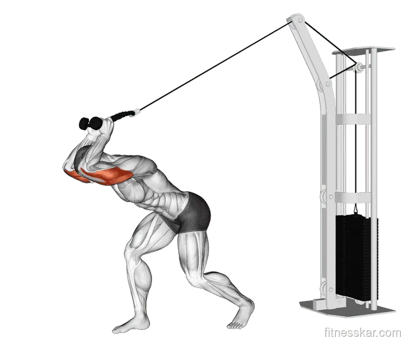 Cable High Pulley Overhead Tricep Extension