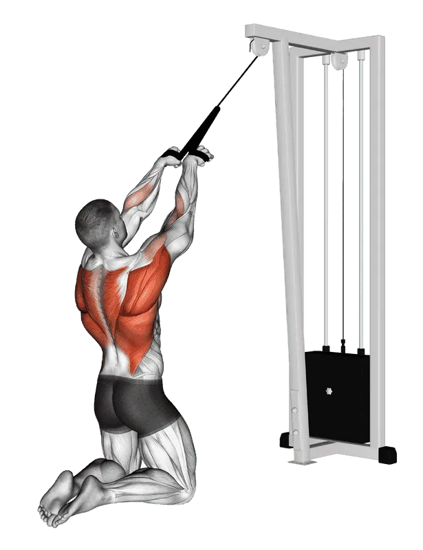Cable High Row (kneeling, rope attachment)