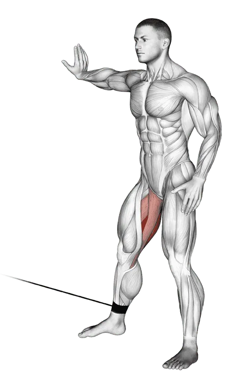 Cable Hip Adduction, Male demonstration, Start