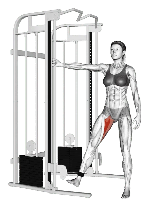 Cable Hip Adduction, Female demonstration, Start