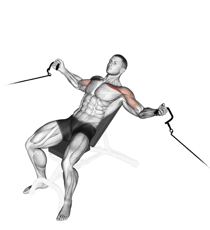 Cable Incline Fly
