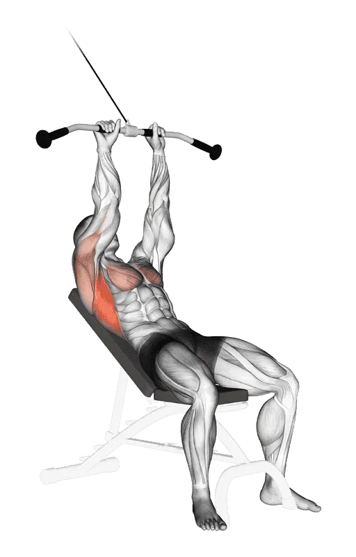 Cable Incline Pushdown, Male demonstration, Start