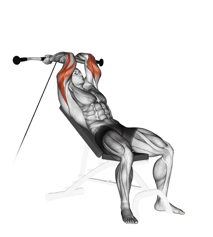 Cable Incline Triceps Extension