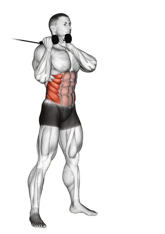 Cable Judo Flip, Male demonstration, Start