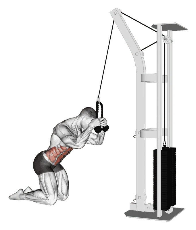 Cable Kneeling Crunch