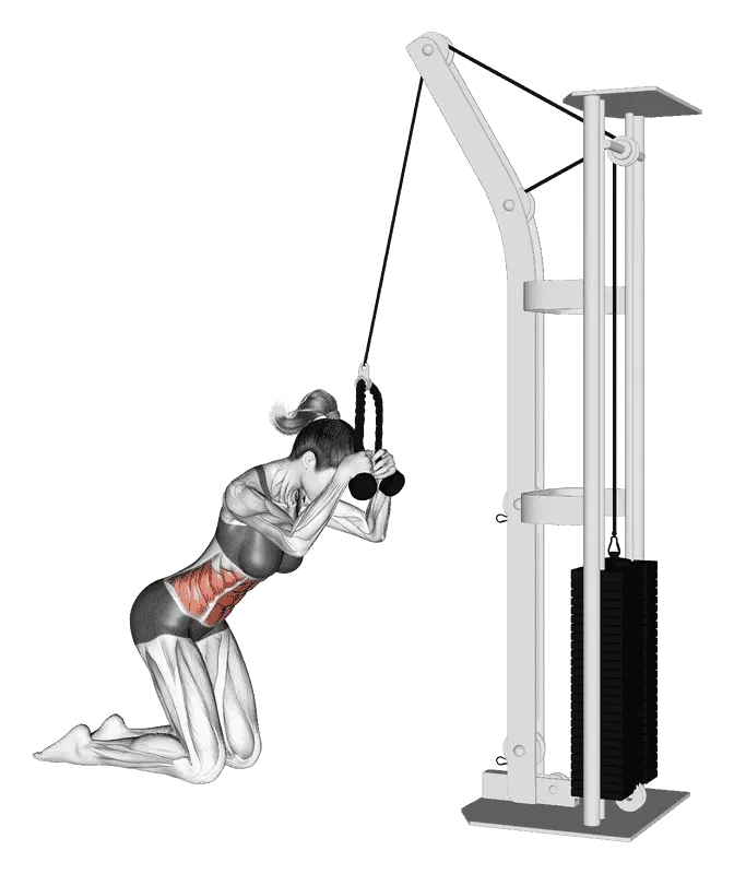 Cable Kneeling Crunch, Female demonstration, Start