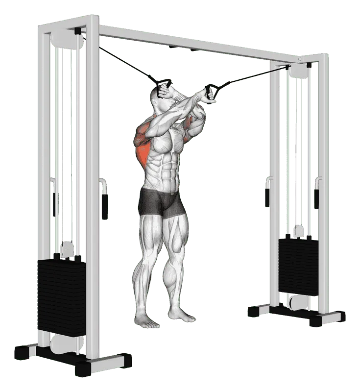 Cable Lat Pulldown (Full Range of Motion)