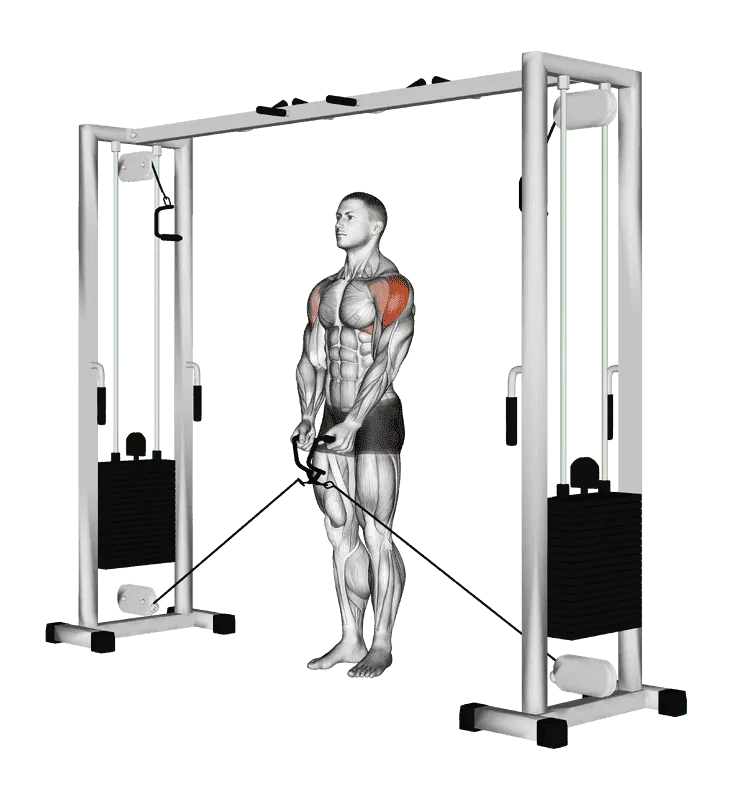 Cable Lateral Raise