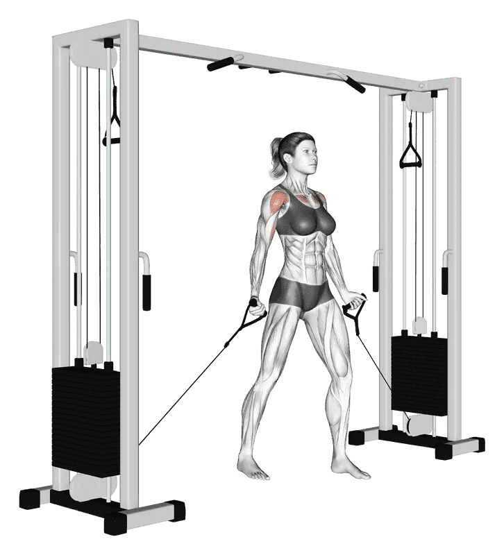 Cable Low Fly, Female demonstration, Start