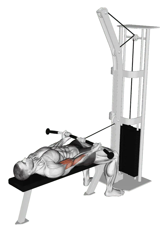 Cable Lying Biceps Curl