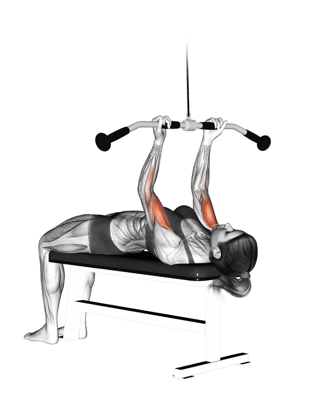 Cable Lying Close-grip Curl, Female demonstration, Start
