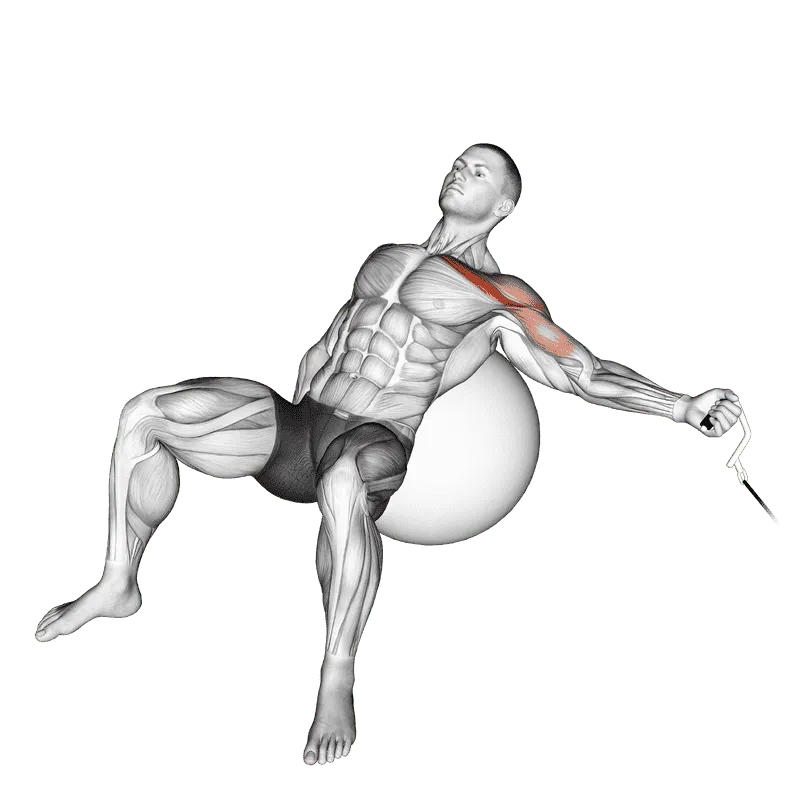 Cable One-Arm Incline Fly on Exercise Ball