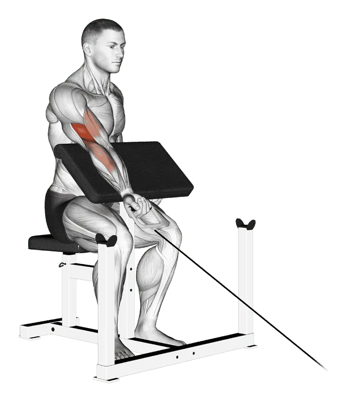 Cable One-Arm Preacher Curl