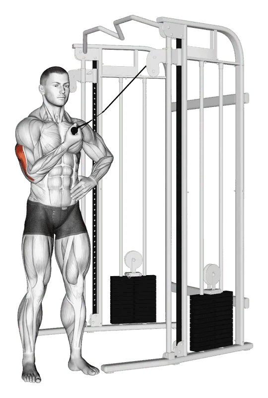 Cable One-Arm Side Triceps Pushdown, Male demonstration, Start