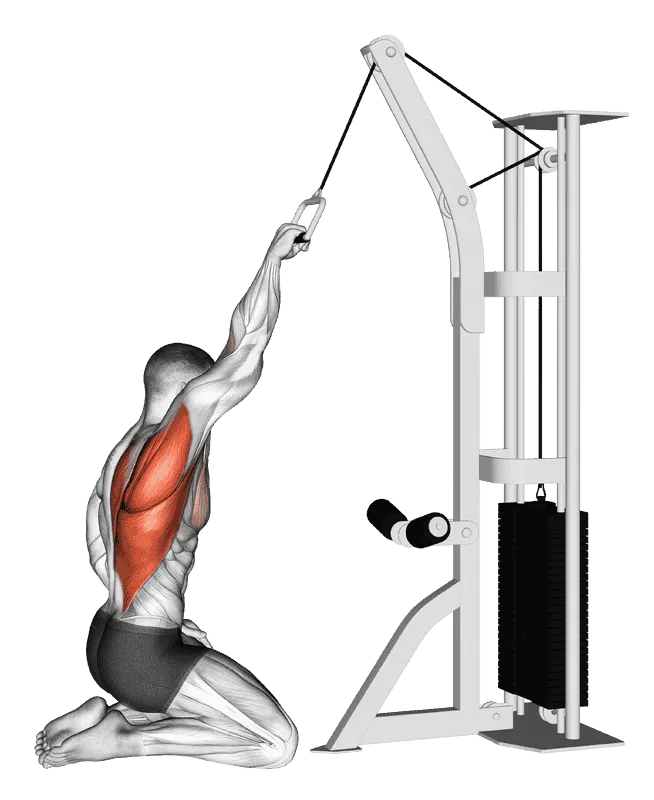 Cable One-Arm Straight Back High Row (Kneeling)