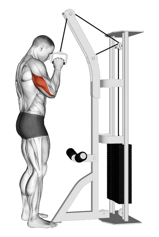 Cable One-Arm Tricep Pushdown
