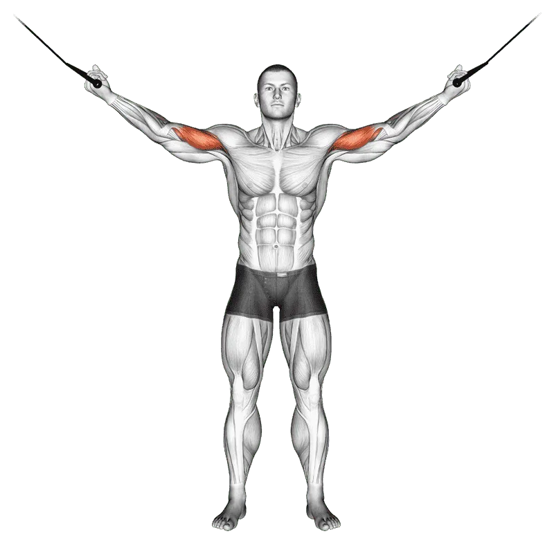 Cable Overhead Curl, Male demonstration, Start