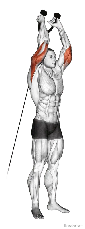 Cable Overhead Triceps Extension (Rope Attachment)