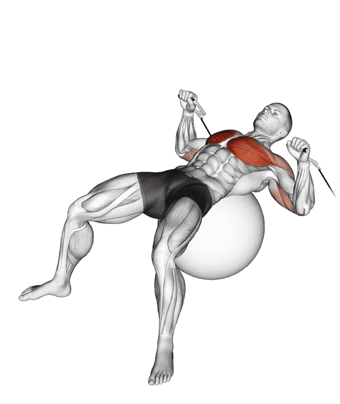 Cable Press on Exercise Ball, Male demonstration, Start
