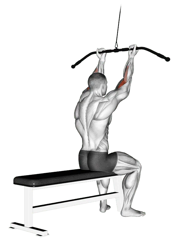 Cable Pulldown Bicep Curl, Male demonstration, Start