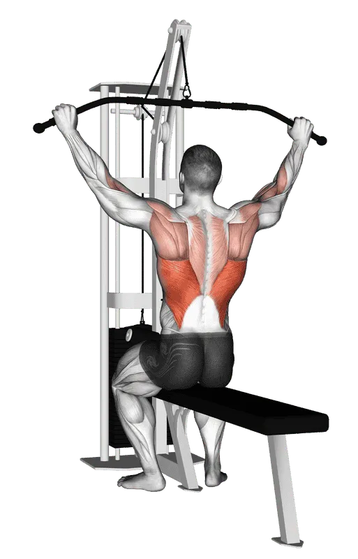 Cable Pulldown (Pro Lat Bar)