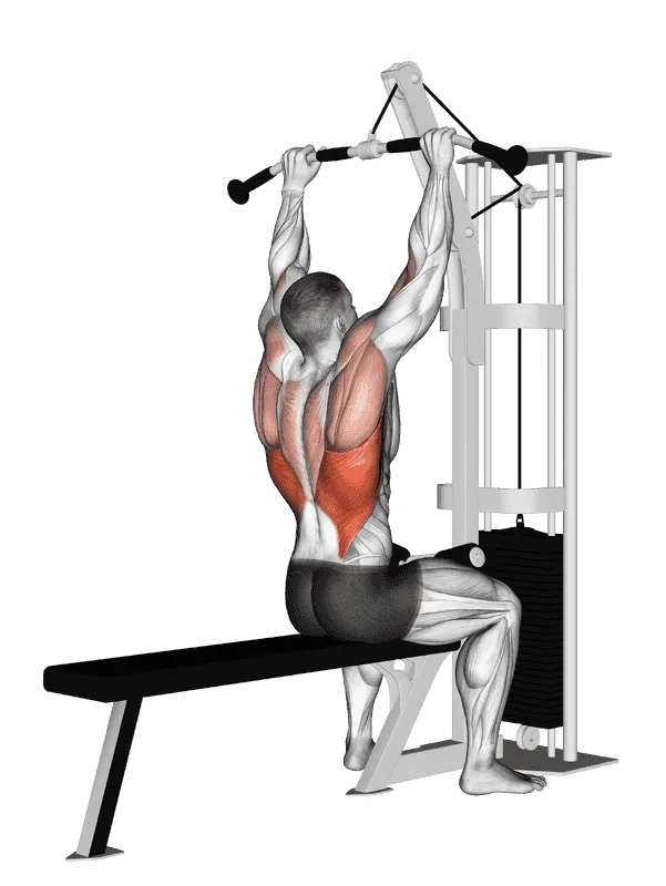 Cable Pulldown, Male demonstration, Start