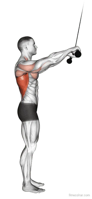 Cable Pushdown (Straight Arm)