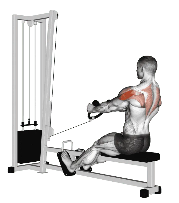 Cable Rear Delt Row (Stirrups)