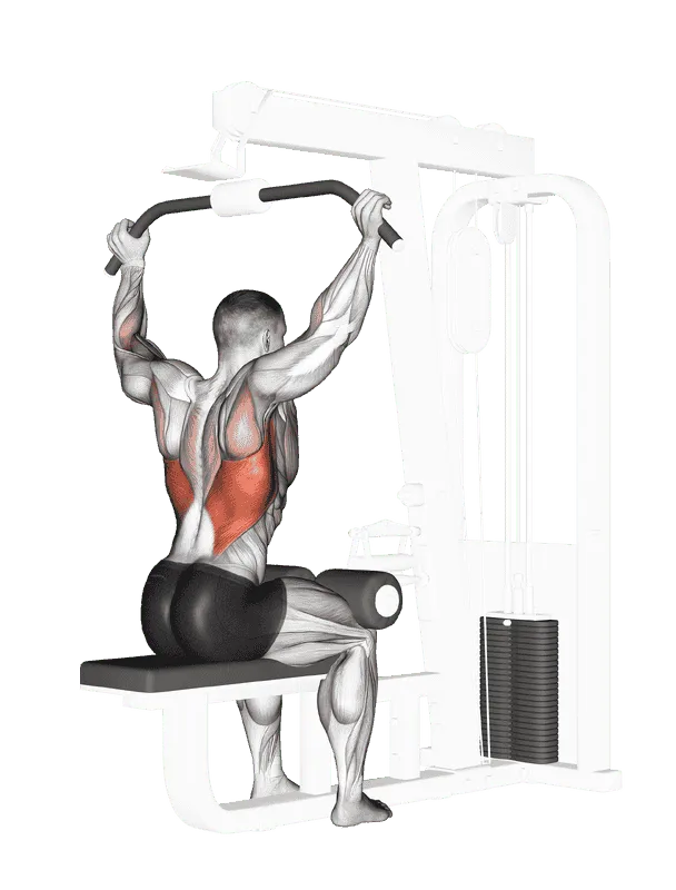 Cable Rear Pulldown, Male demonstration, Start