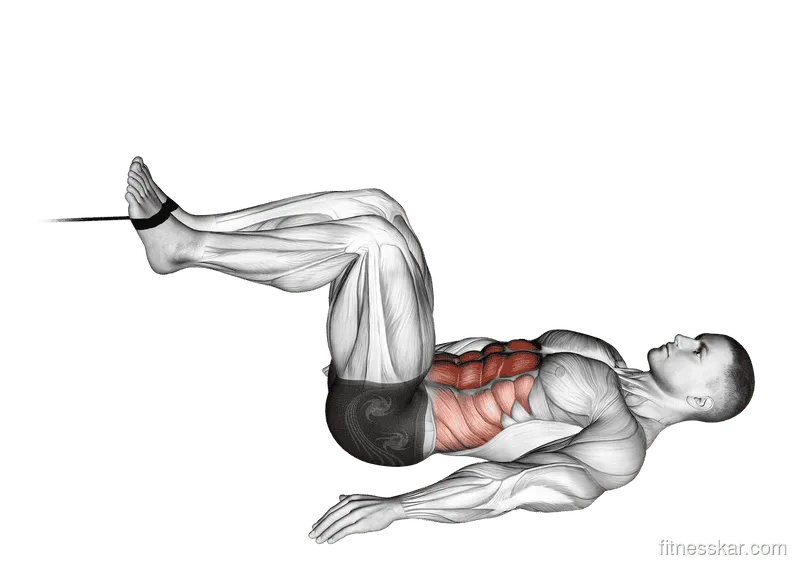 Cable Reverse Crunch
