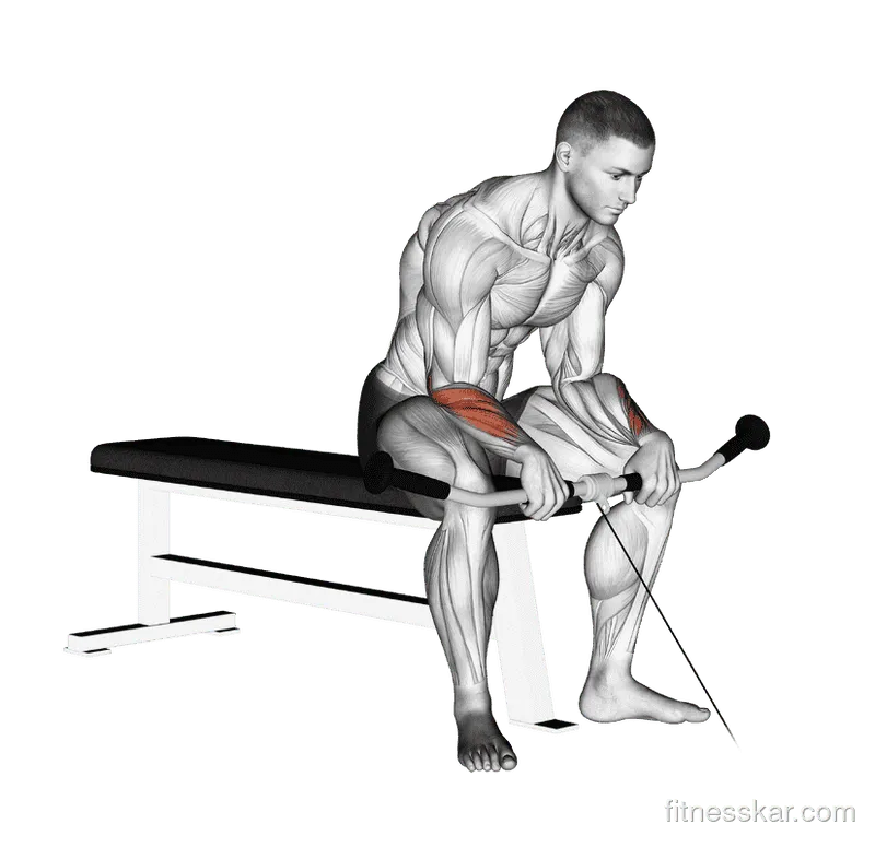 Cable Reverse Wrist Curl, Male demonstration, Start