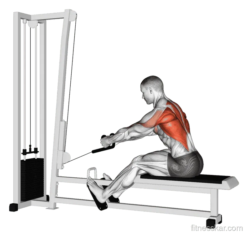 Cable Rope Elevated Seated Row, Male demonstration, Start