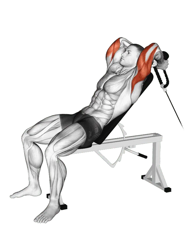 Cable Rope Incline Tricep Extension