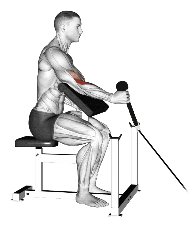 Cable Rope One-Arm Hammer Preacher Curl