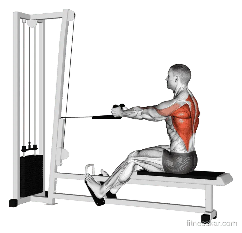 Cable Rope Seated Row, Male demonstration, Start