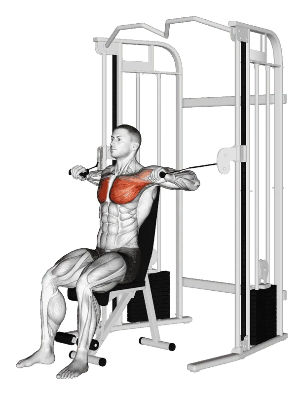 Cable Seated Chest Press