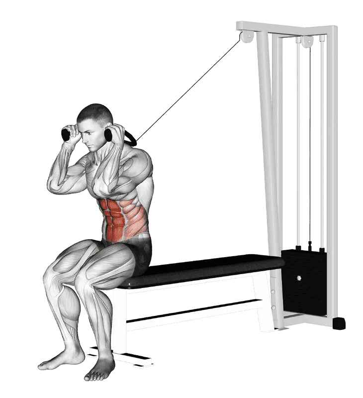 Cable Seated Crunch, Male demonstration, Start