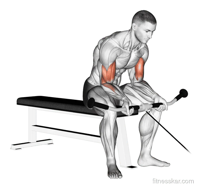 Cable Seated Curl, Male demonstration, Start