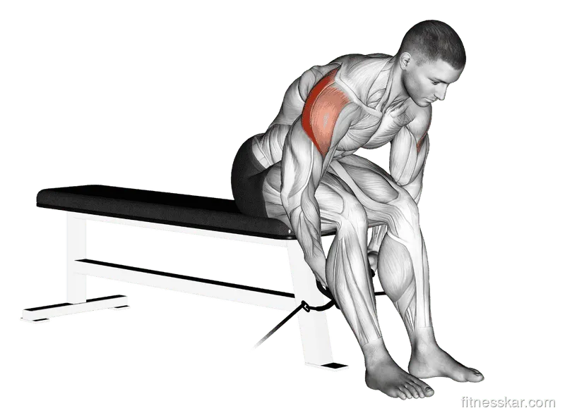 Cable Seated Rear Lateral Raise