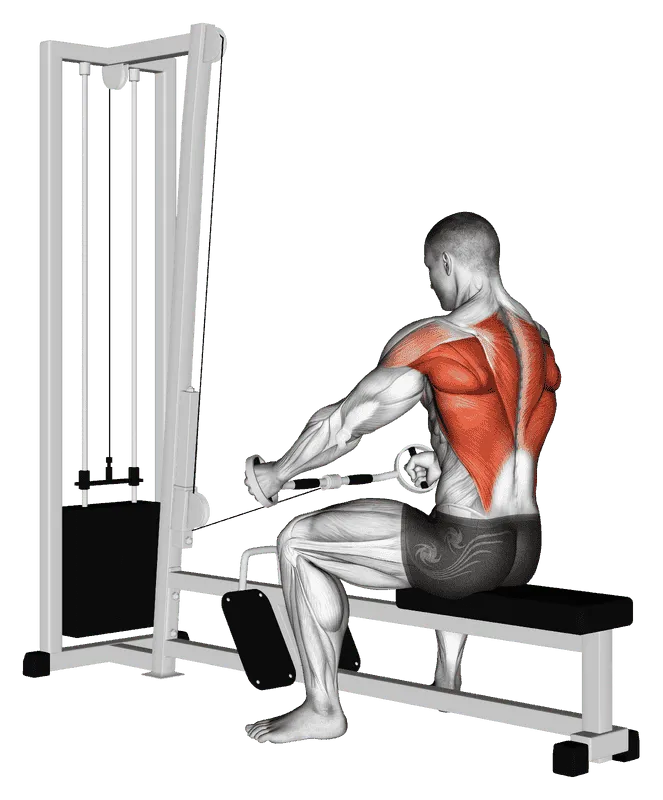 Cable Seated Row (Bent Bar), Male demonstration, Start