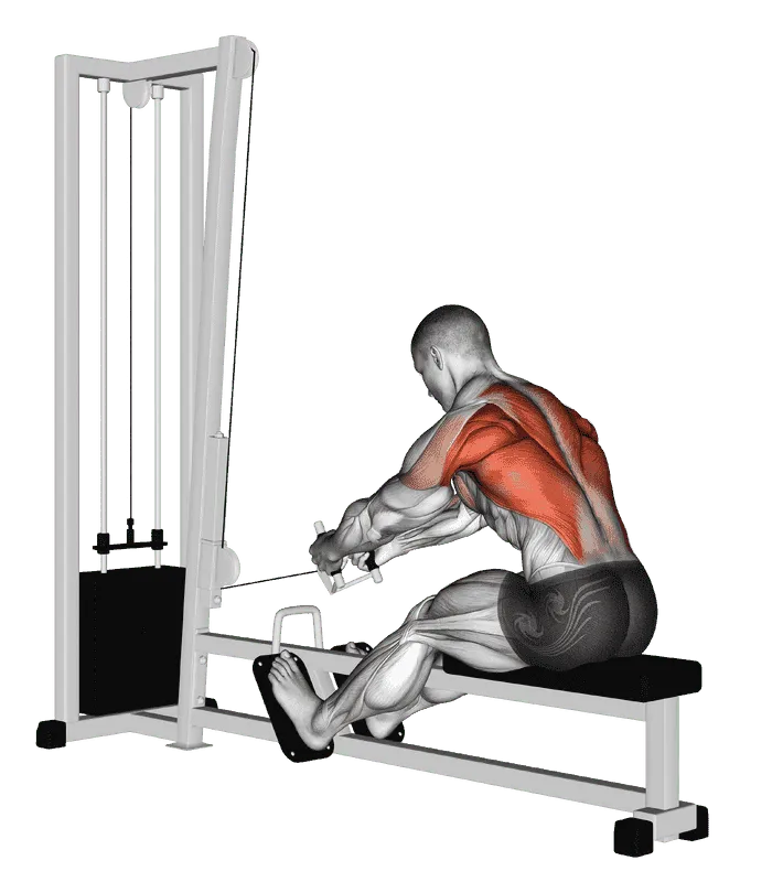 Cable Seated Row