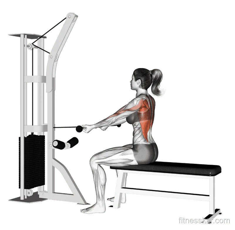 Cable Seated Supine Grip Row