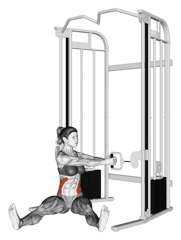 Cable Seated Twist on Floor, Female demonstration, Start