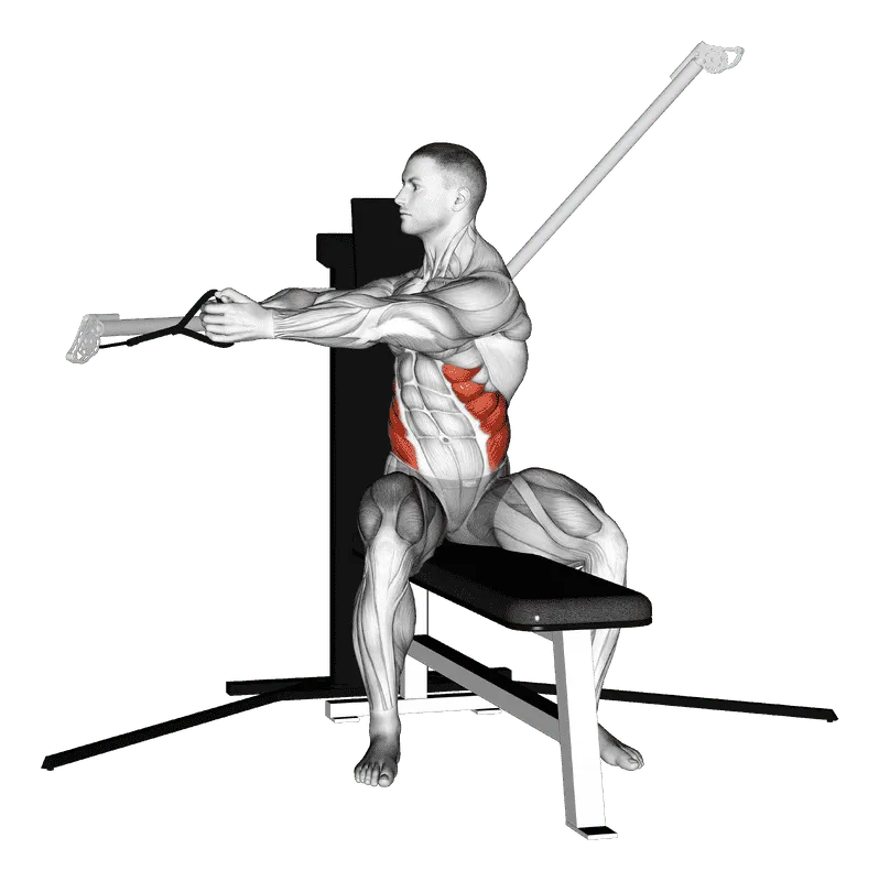 Cable Seated Twist, Male demonstration, Start